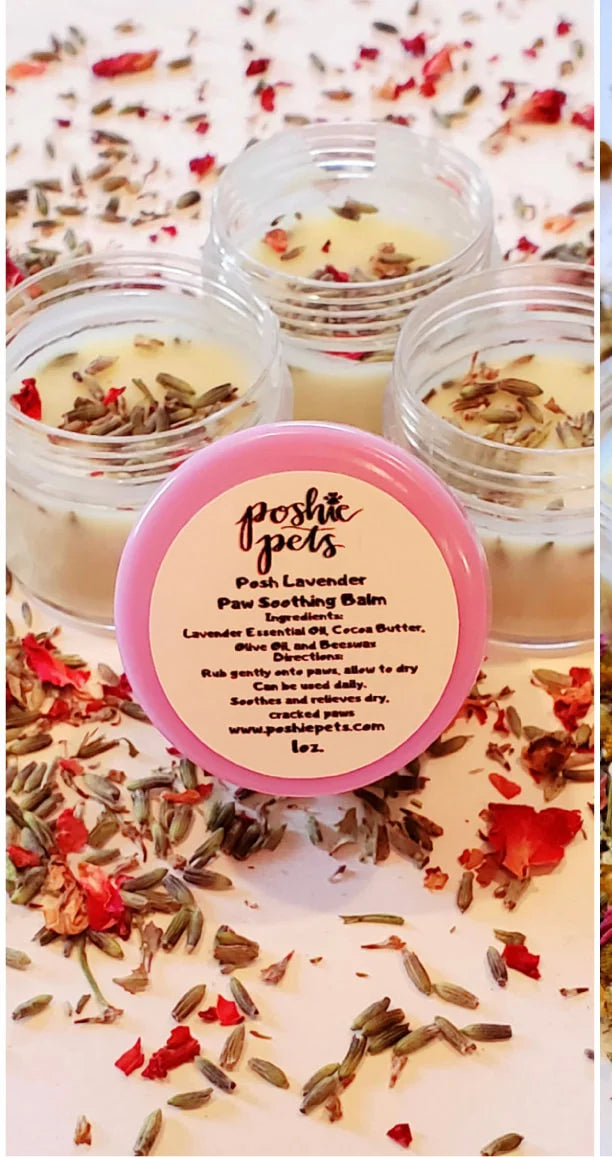 Posh Lavender Paw Butter
