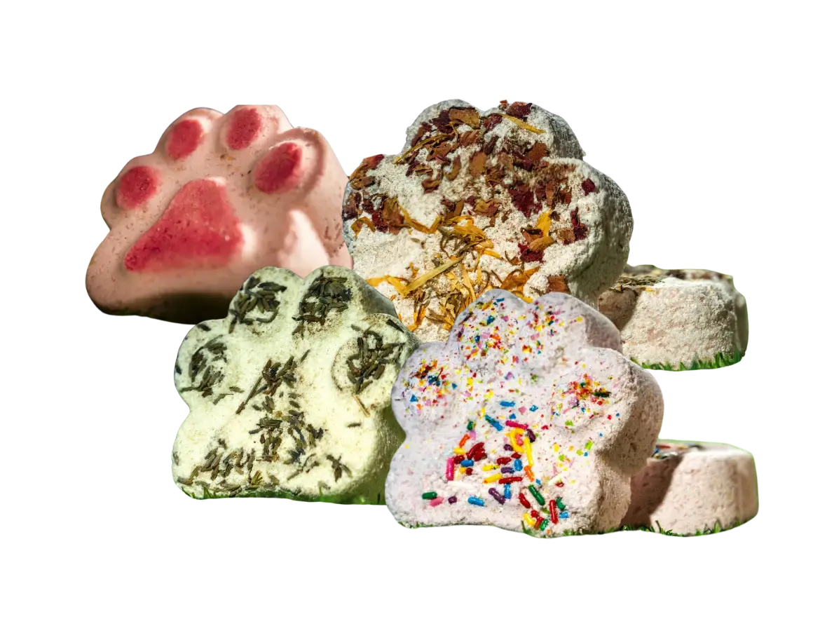 Jream’s Rodeo Pawboy (4 ct Bath Bomb Box)