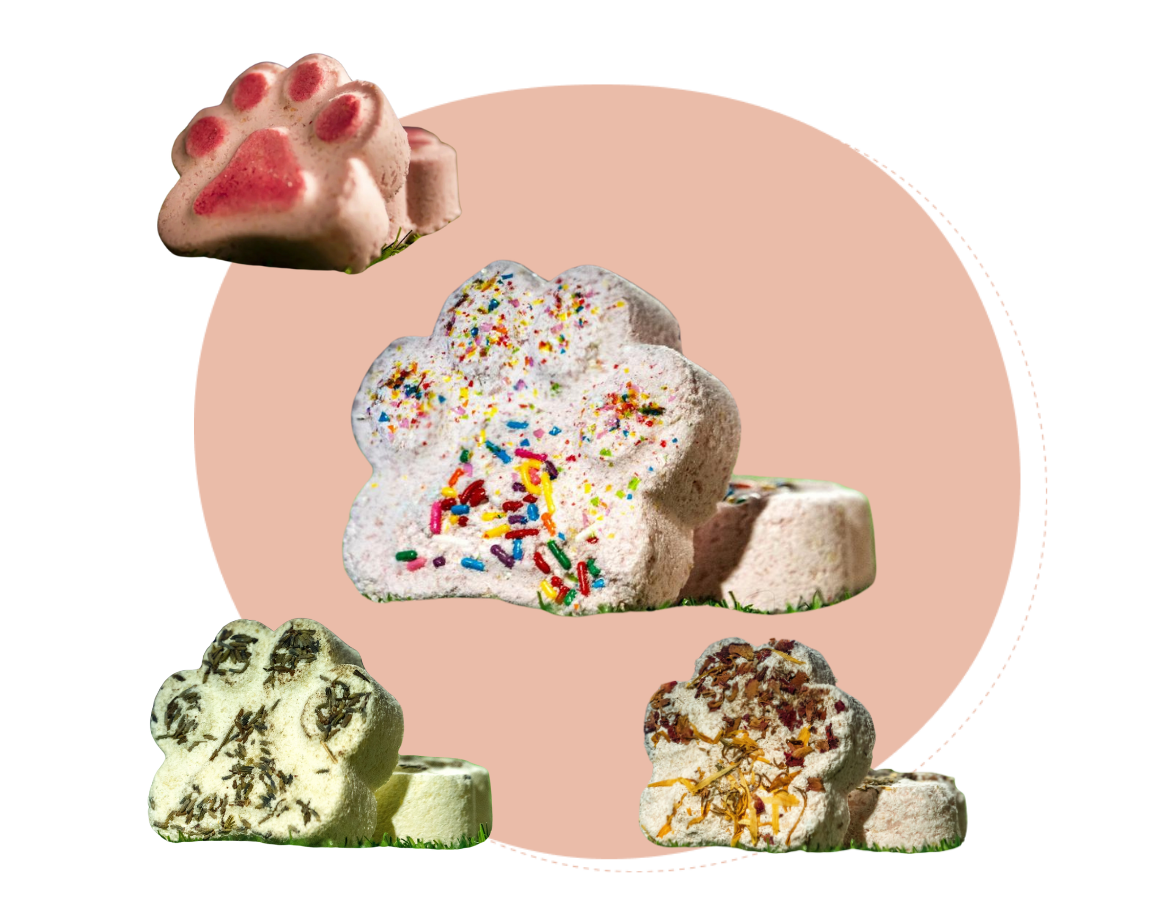 Jream’s Rodeo Pawboy (4 ct Bath Bomb Box)