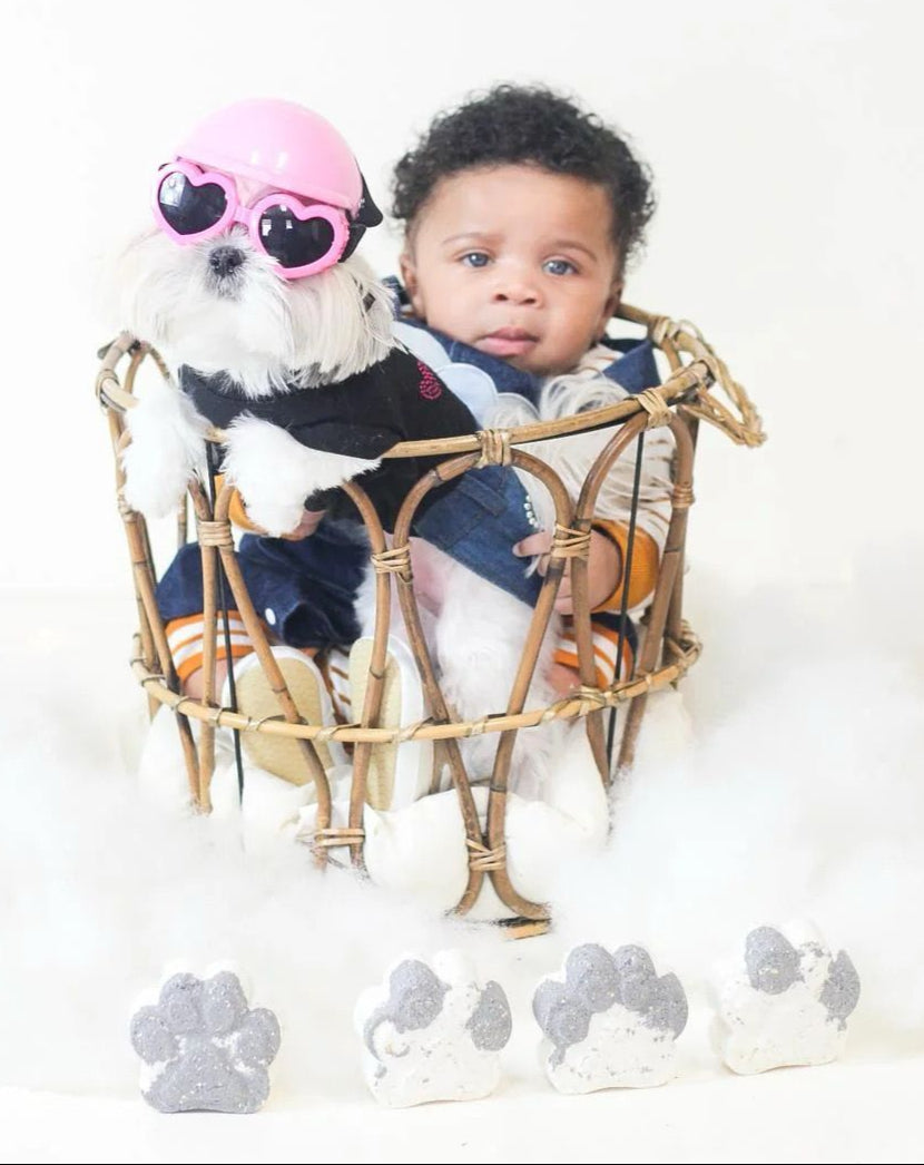 Jream’s Rodeo Pawboy (4 ct Bath Bomb Box)