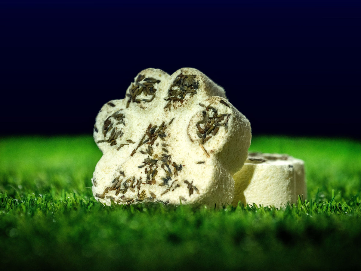 Flea Fighter Bomb (2pcs)