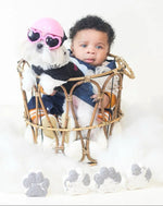 Jream’s Rodeo Pawboy (4 ct Bath Bomb Box)